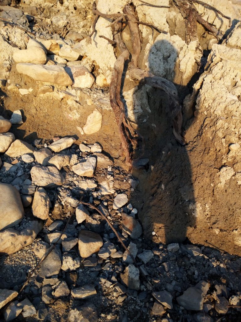 autoportrait scaled 768x1024